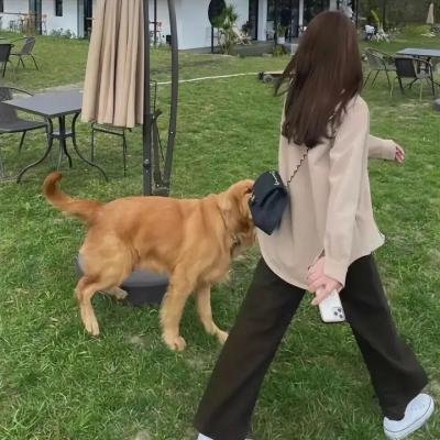 押解的故事
