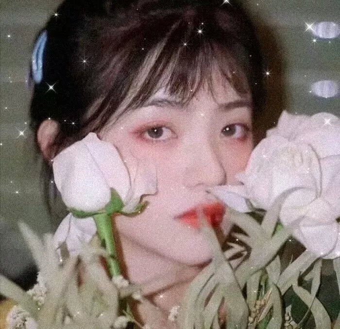 神圣的女人