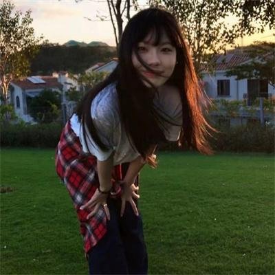 森林的终点是海
