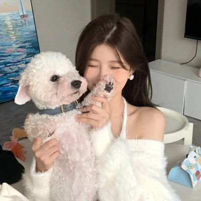 事故故事